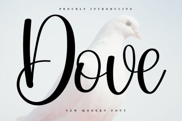 Dove Font: Adding Warmth to Campaign Visuals