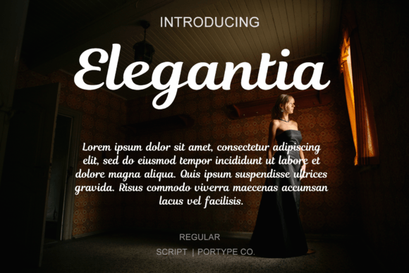 Elegantia Font: Elevating Digital Campaigns