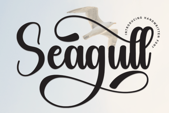 Seagull Font: Adding Warmth to Editorial Design